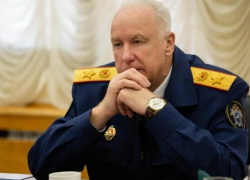  Жительница Сочи пожаловались Бастрыкину на бродячих собак около школ и детских площадок
