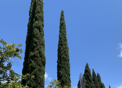 Первый теплый день в году