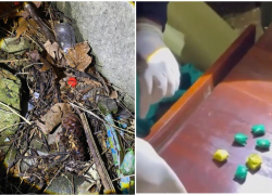 Срок, равный своему возрасту, может получить 20-летняя «закладчица» из Сочи