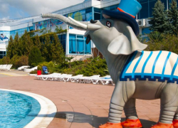 Пегас отказался сотрудничать с Аквалоо