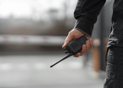 Пара из Сочи едва не оказалась жертвами теракта в Сиднее