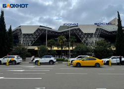 Путина попросили отсрочить нашумевшую реформу о локализации автомобилей такси на конференции в Сочи