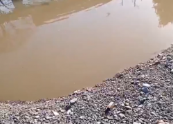 В Сочи канализация продолжает течь в Чёрное море