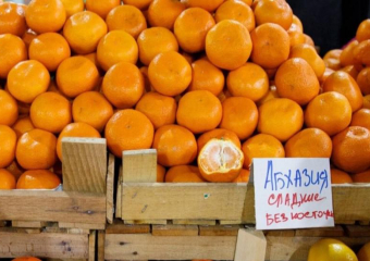 Абхазия увеличила экспорт мандаринов в Россию