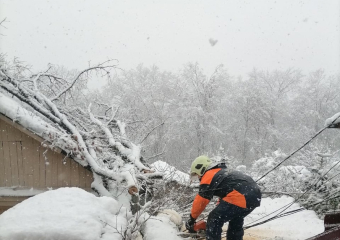 Вызволили из снежного плена
