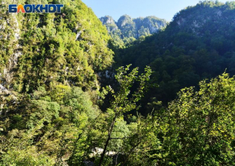 В Сочи из-за жары продлили запрет на посещение лесов