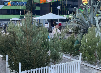 В 34-х местах Сочи откроются елочные базары