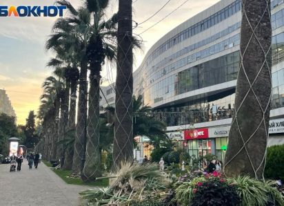  Самой дорогой торговой улицей регионов стала Навагинская в Сочи