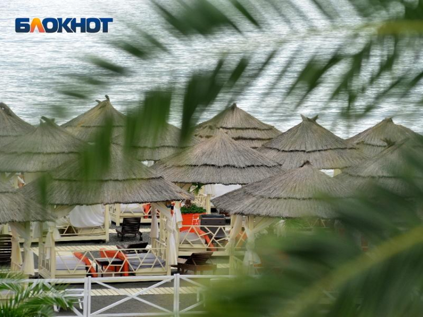 Мэр Прошунин заявил, что Сочи надо повысить уровень отдыха, как в Турции