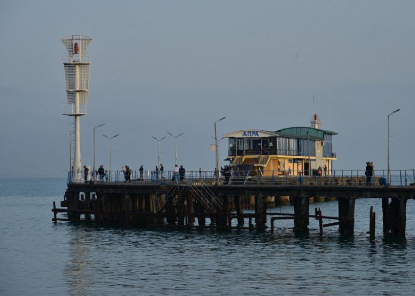 В Абхазии спасли беременную собаку, упавшую в Черное море