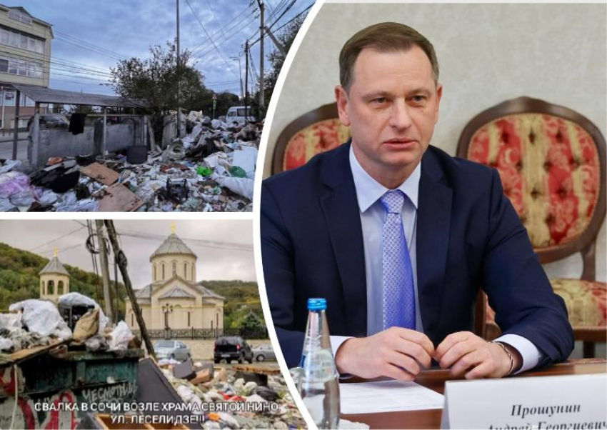 Бывший директор мусороперерабатывающего комплекса, а ныне мэр Сочи, не может решить проблему с мусором на курорте