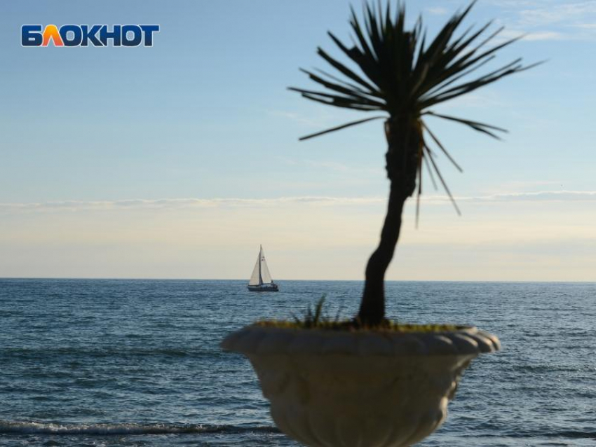 Туристам назвали 10 мест, которые стоит посетить в Сочи