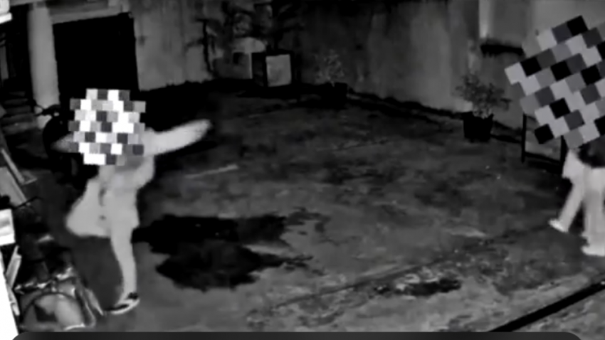 В Сочи мужчина избил старую собаку на глазах у детей