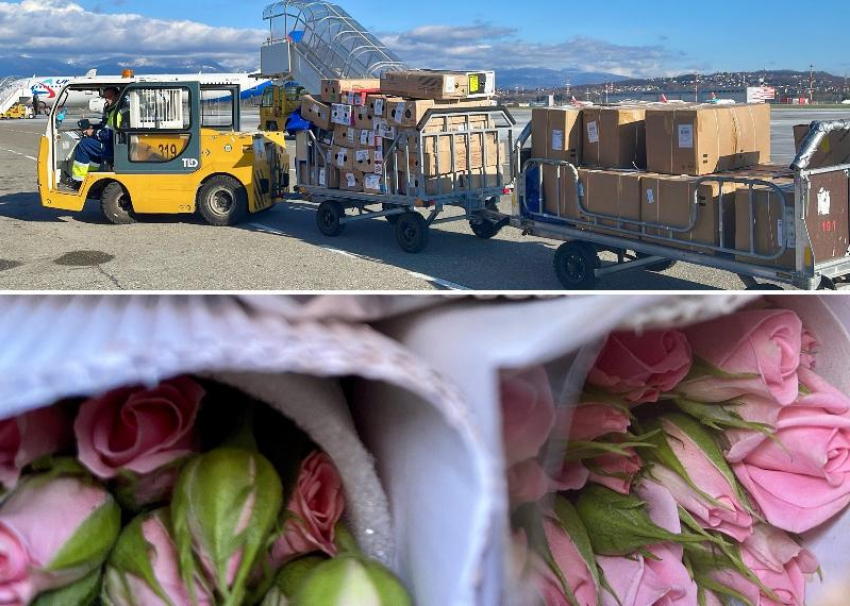  71 тонну цветов перевезли через аэропорт Сочи