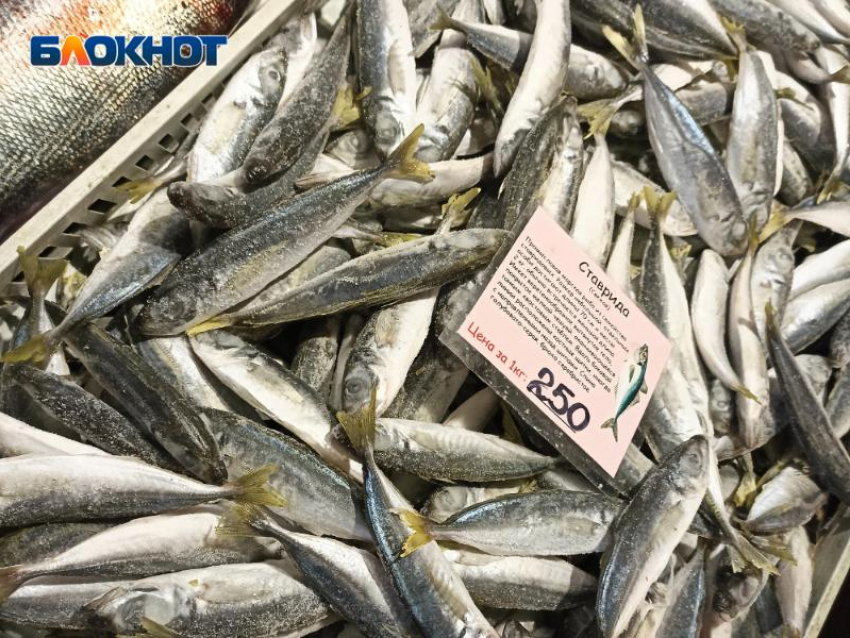 «У нас много своей рыбы»: продавцы высказались о ситуации с морепродуктами в Сочи