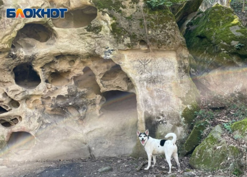 Российские спелеологи обнаружили в Абхазии пять новых пещер