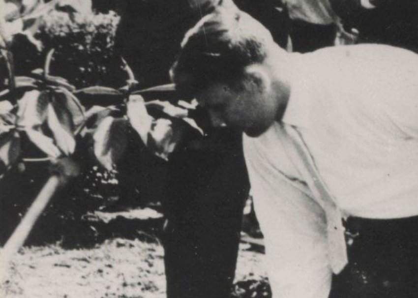  «Дерево жить не будет»: после смерти Гагарина погибла магнолия, высаженная им в Сочи