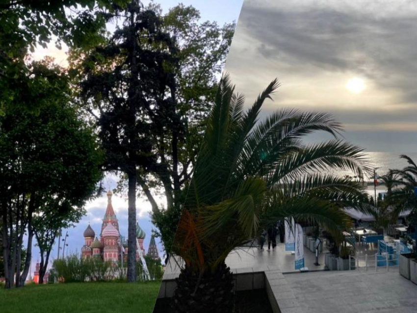 Сочи или Москва: россиянин рассказал, где лучше жить