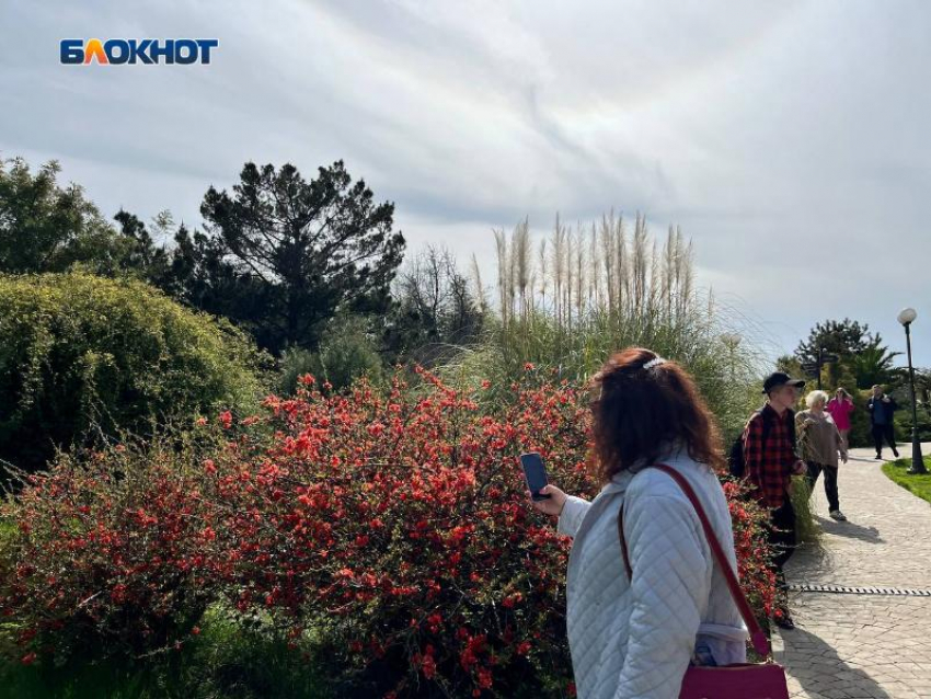 В Сочи ожидается резкое потепление