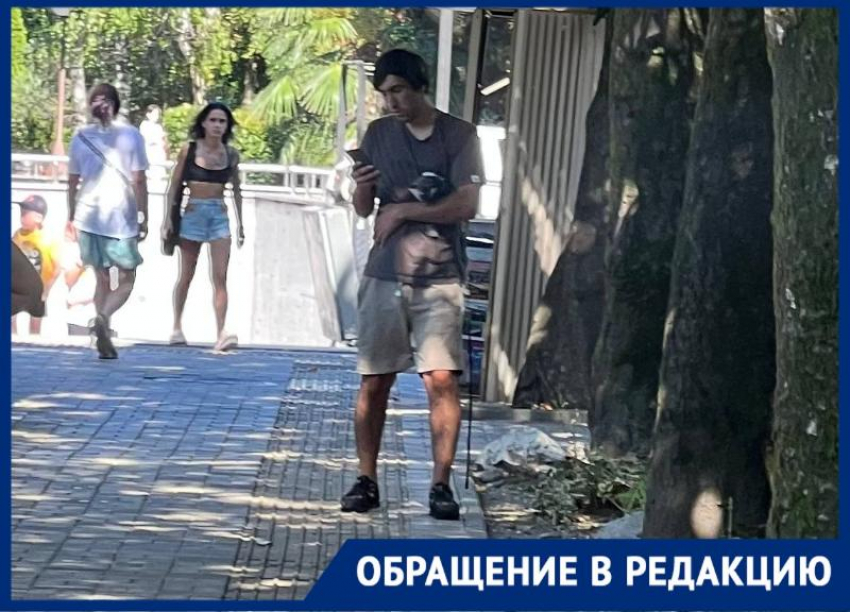 «Сколько эти живодеры ещё будут работать?» - гостья Сочи возмущена фотографами с животными