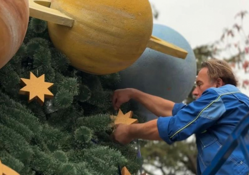 Новогоднюю елку установили в парке «Ривьера» в Сочи