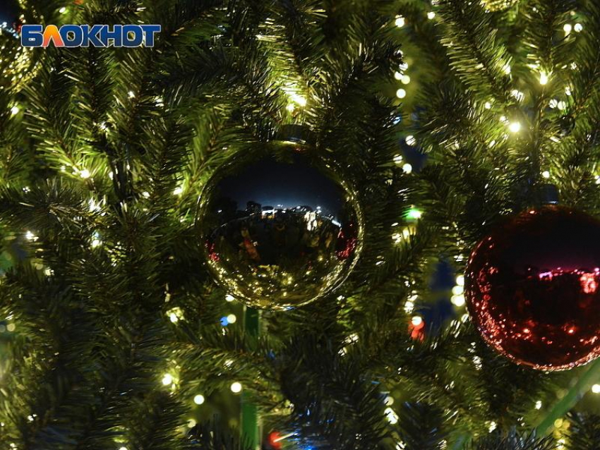 Горный курорт Сочи готовится зажечь новогоднюю елку