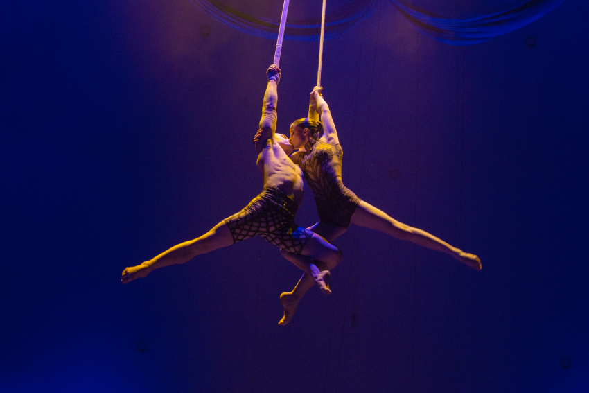 Четыре месяца цирк Казани будет выступать в Сочи Парке