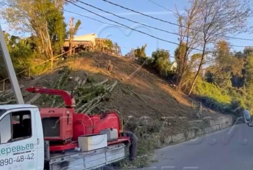 Десятки деревьев срубили в сочинском селе