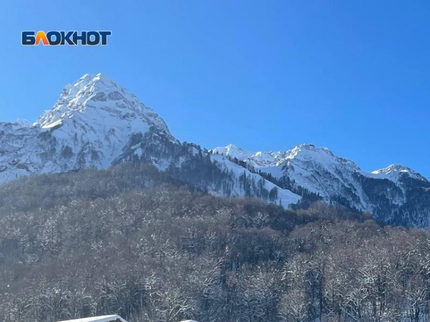 Власти отменили строительство горнолыжного курорта «Турьев Хутор» в горах Сочи 