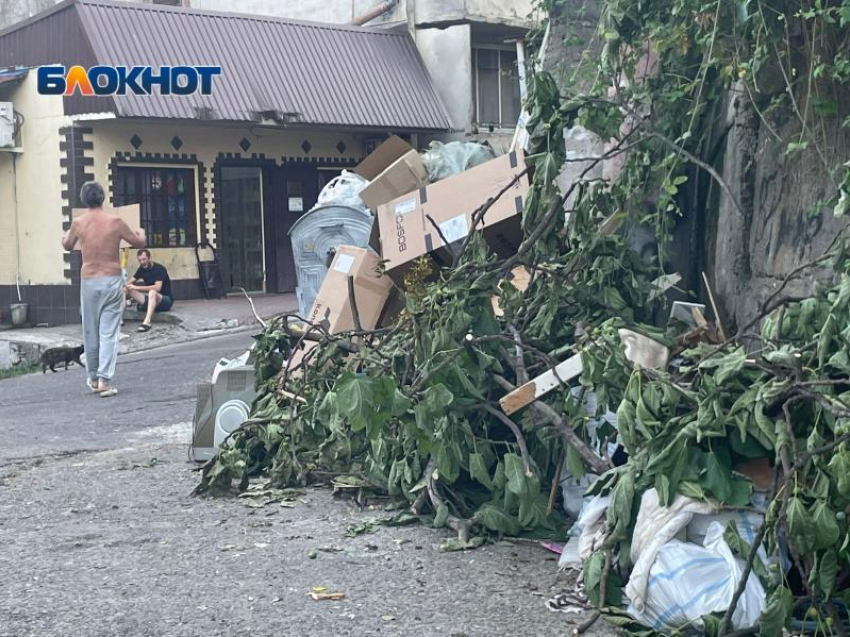 От 14 тысяч рублей надо заплатить жителям Сочи за вывоз строительного мусора и веток