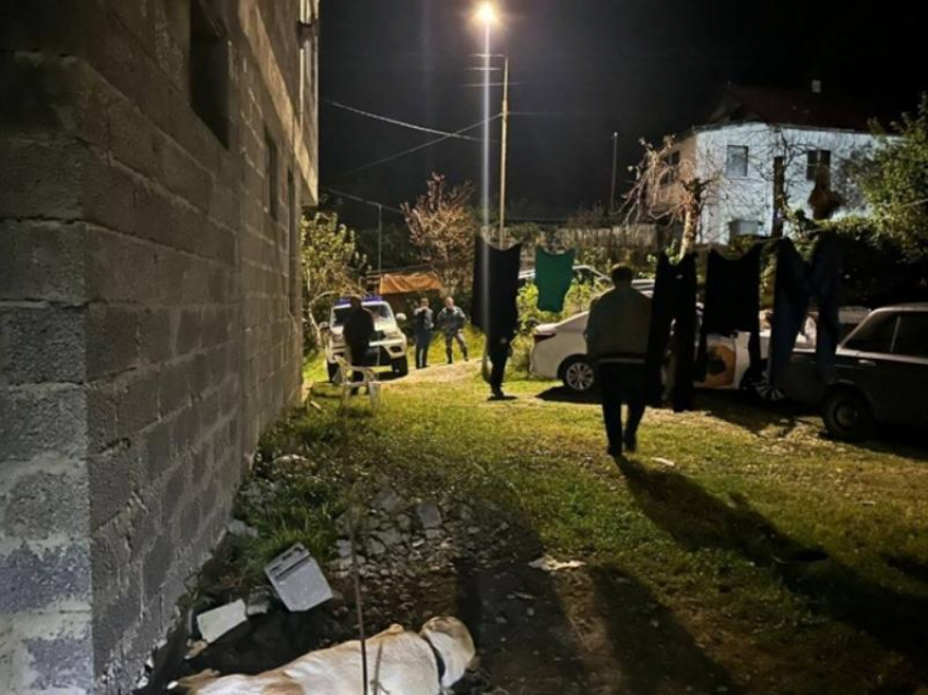 Алабай растерзал двух школьников в Сочи