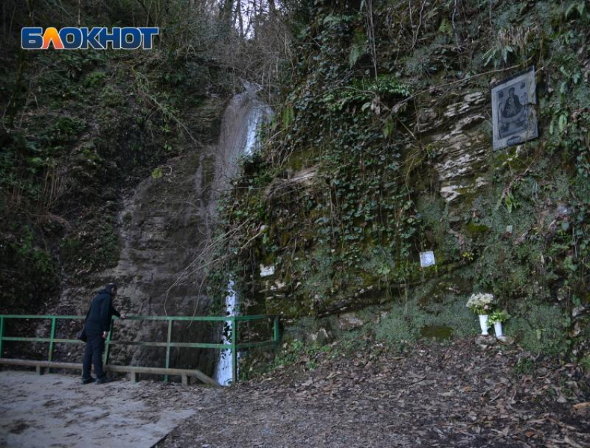 Генпрокуратура насчитала ущерб природе в 3 миллиарда рублей из-за нарушений в Сочинском нацпарке