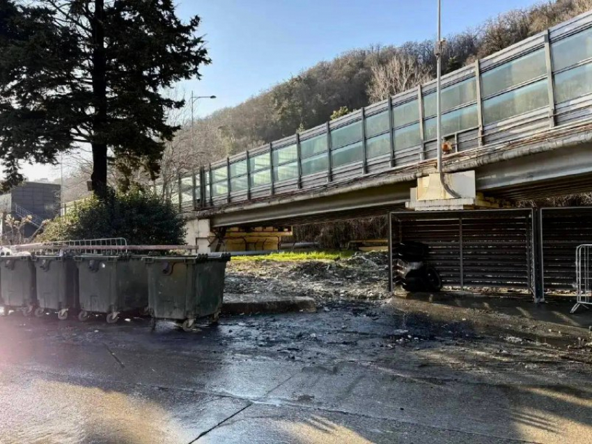 Прокуратура занялась проблемой вывоза мусора в Сочи после многочисленных жалоб