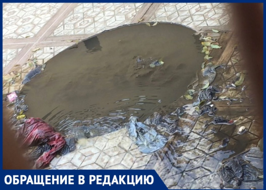 Житель Сочи пожаловался на потоп из нечистот: «Дети вынуждены идти в школу по канализационной воде»