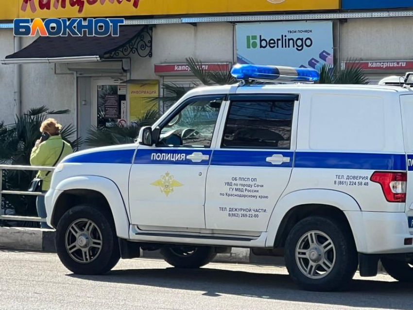 Полиция Сочи разыскивает хозяина агрессивного алабая, напавшего на женщину с собакой