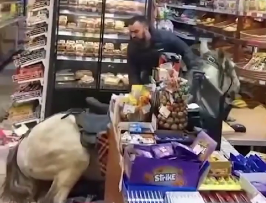 Мужчина на коне въехал в супермаркет Сочи