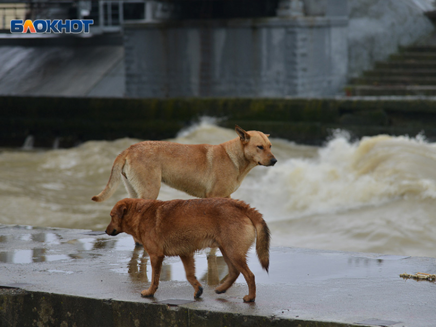 Резкое похолодание и ливни надвигаются на Сочи