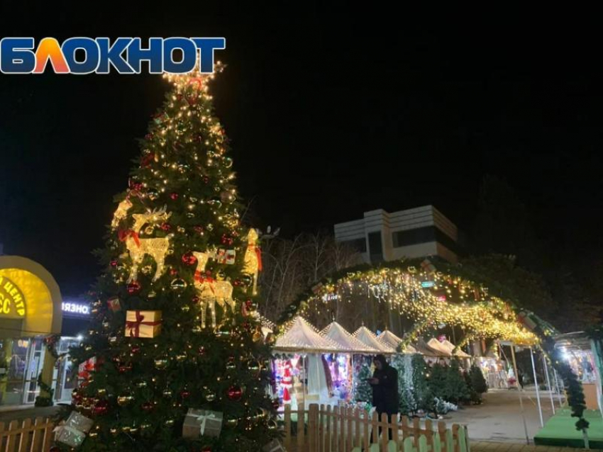 Новогодние туры в Абхазию начнут пользоваться популярность в ноябре 