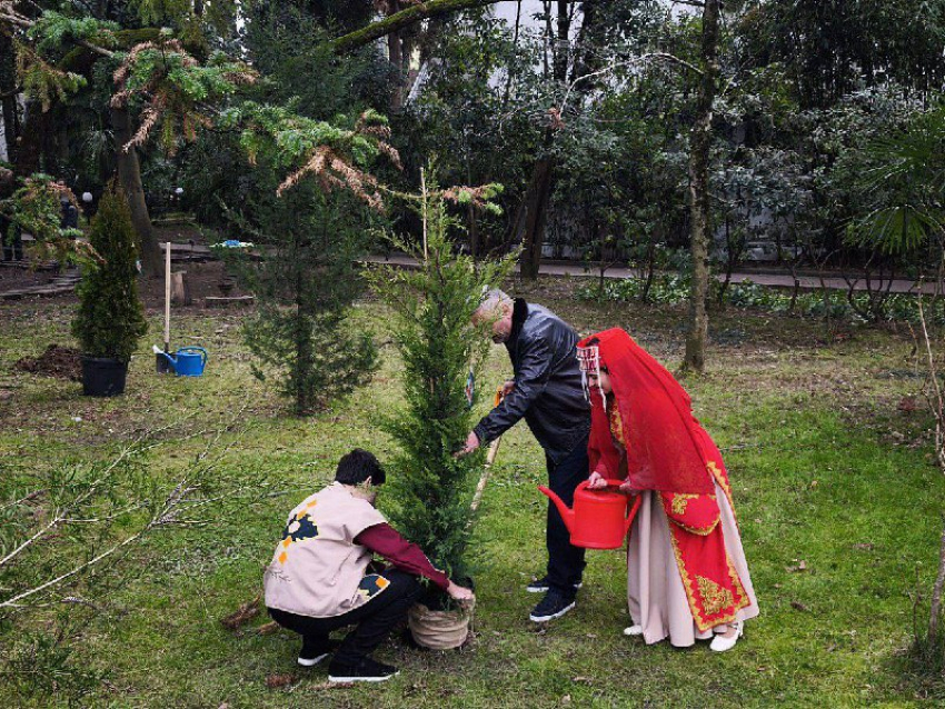 В «Ривьере» Сочи высадили хвойные деревья в знак единства народов