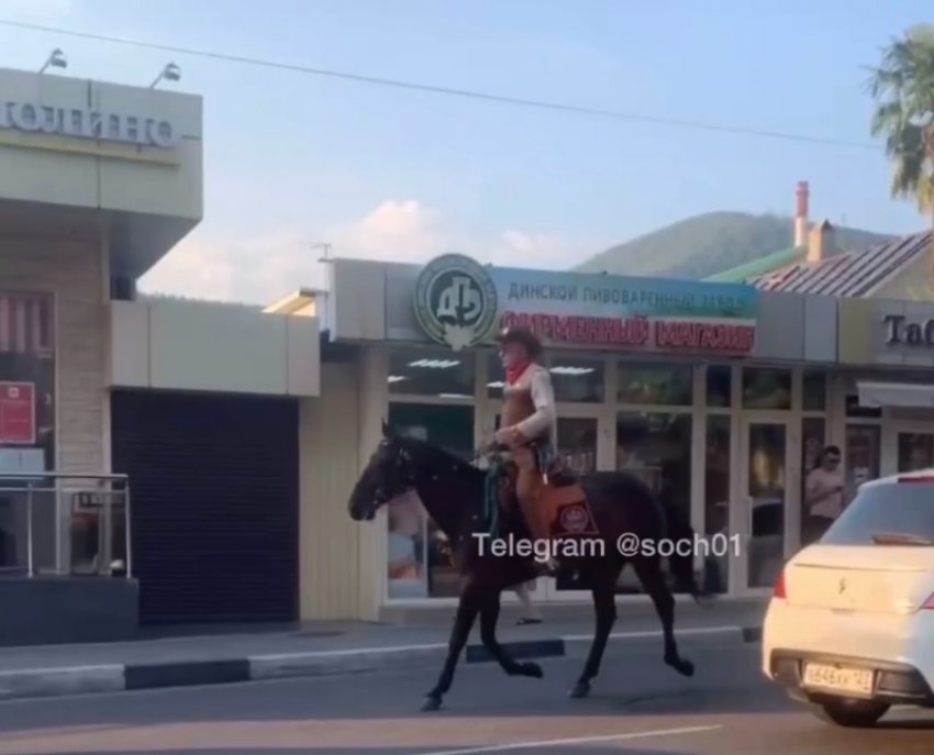 Ковбой, детка: по сочинским улицам разъезжал мужчина на коне 