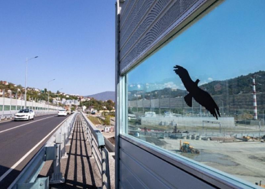 На Обходе Адлера установили силуэты хищных птиц