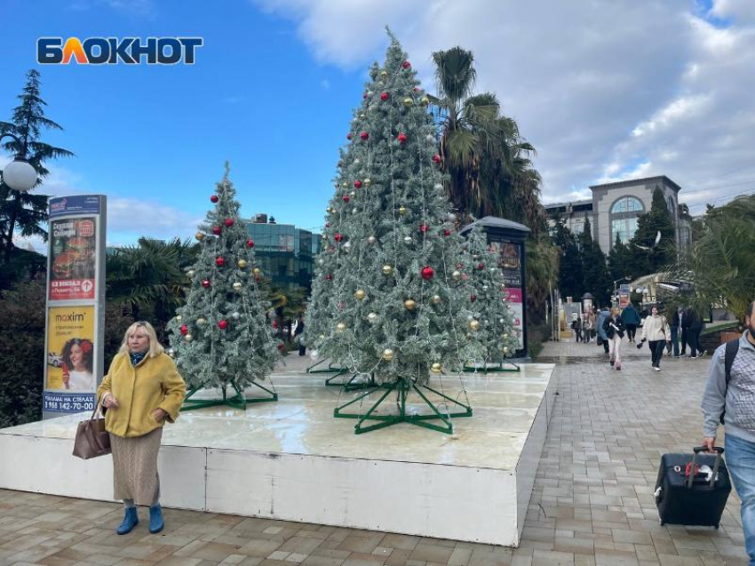Сочи попал в Топ-3 городов для ранних новогодних бронирований