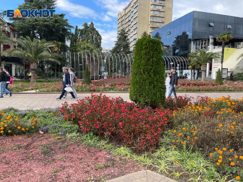 Площадь зеленых насаждений в Сочи увеличат в 12 раз