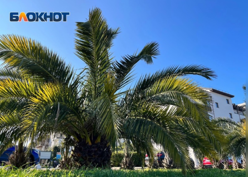 Магнитная буря обрушилась на Сочи