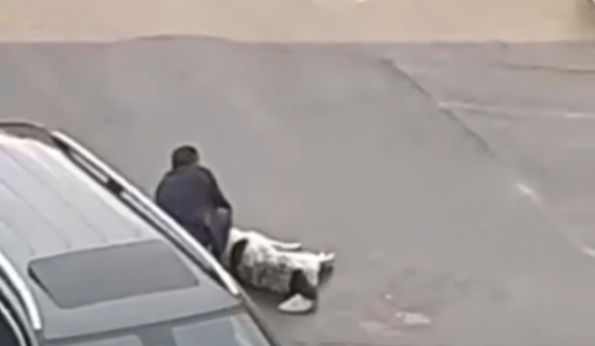Сочинский риэлтор публично выстрелил в дворовую собаку