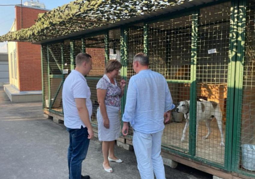Власти Сочи переняли опыт московских коллег при создании центра для бездомных животных