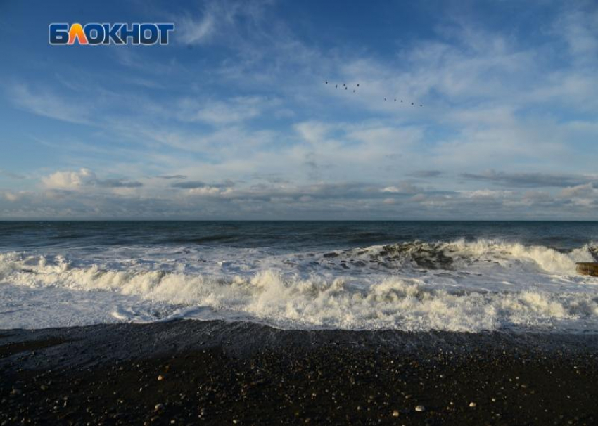 Около 4 тысяч проб морской воды взяли в Сочи специалисты Роспотребнадзора