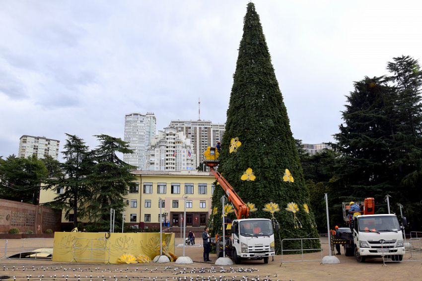 В Сочи приступили к украшению главной новогодней елки