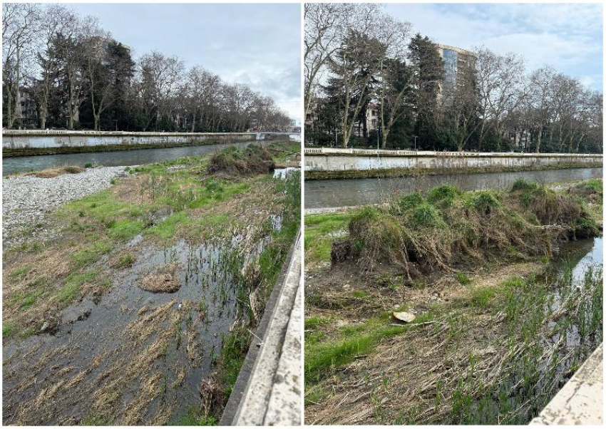 В болото с лягушками превращается река Сочи в центре города