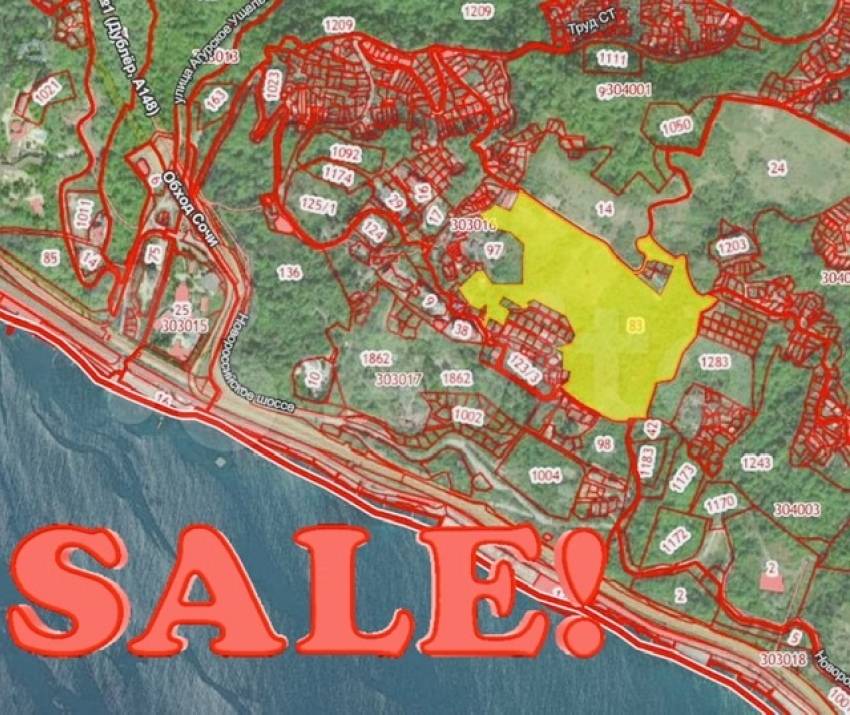 Всего-то 10 миллиардов: в Сочи разместили объявление о продаже участка в 190 гектар